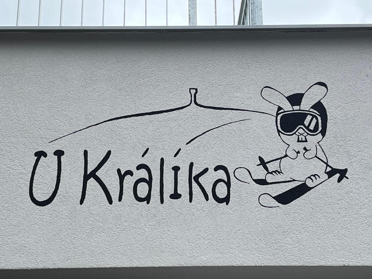U Kralika, H, 3 Samostatne Loznice - Mezonet, Vlastni Parkovani, 50 Metru Od Vleku , Vysousece Bot V Lyzarne Apartment
