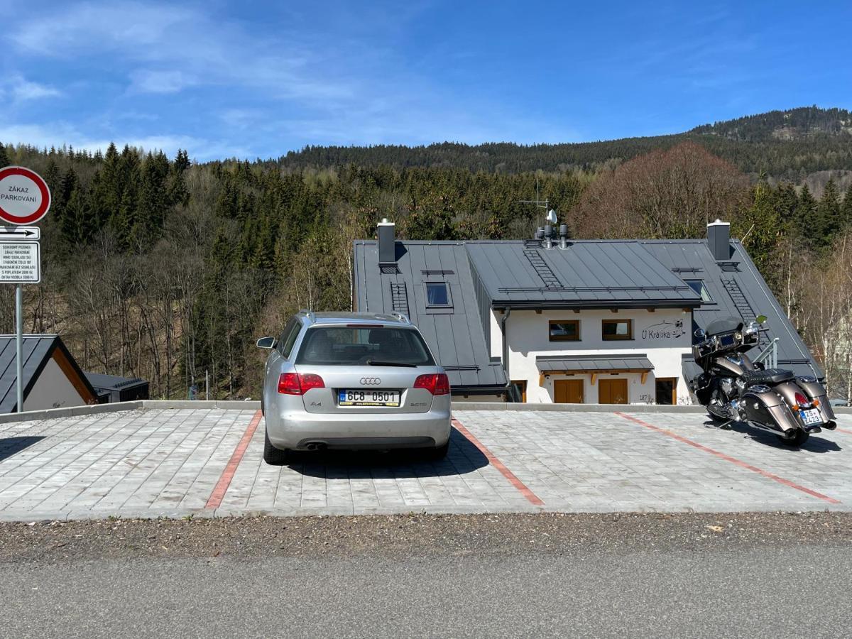 U Kralika, H, 3 Samostatne Loznice - Mezonet, Vlastni Parkovani, 50 Metru Od Vleku , Vysousece Bot V Lyzarne Apartment *